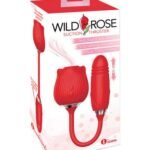 Rosa de Succión Wild Rose Thruster”
